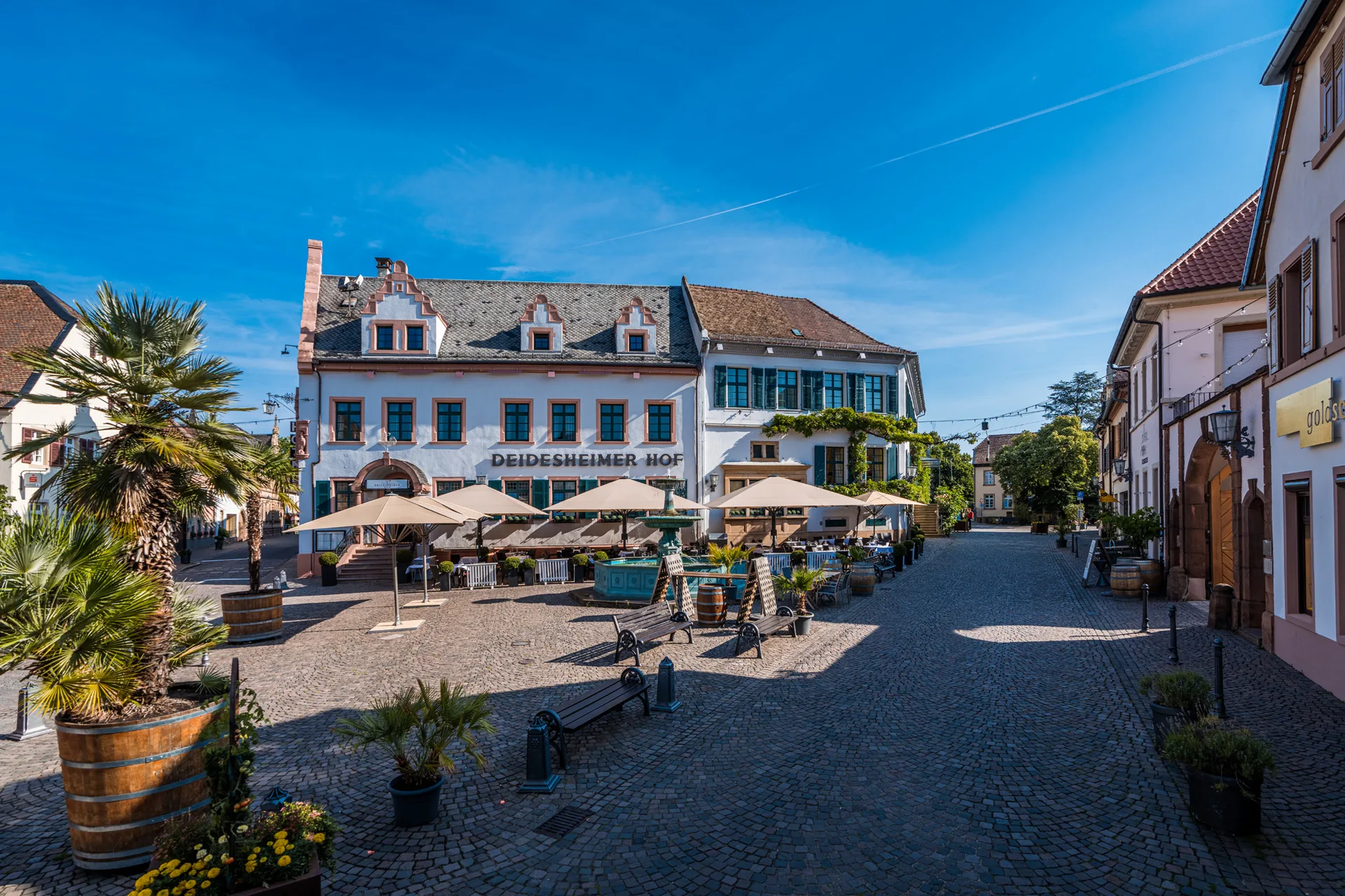 Restaurant Schwarzer Hahn — photo 9