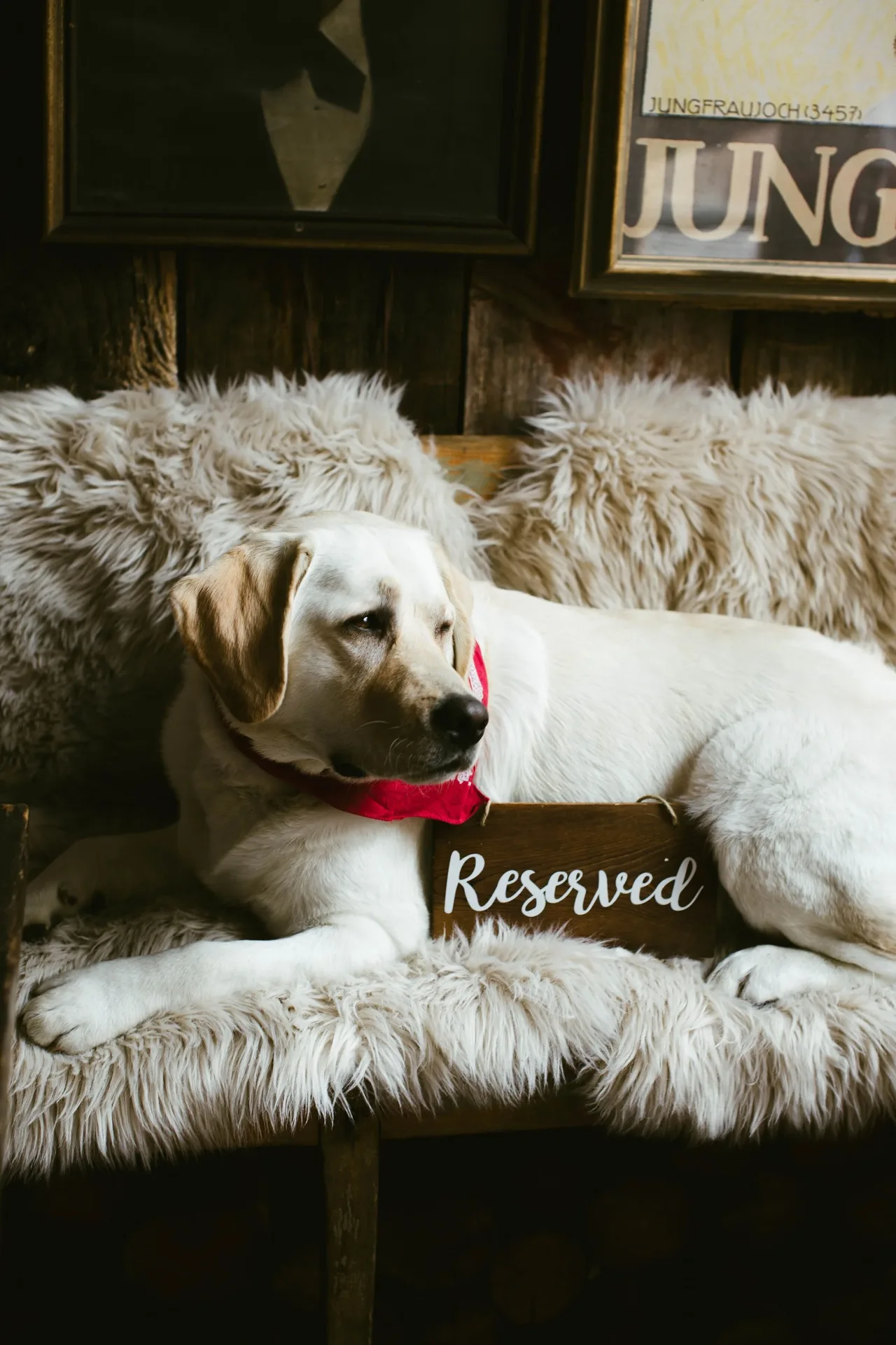 French Alpine Bistro, Aspen