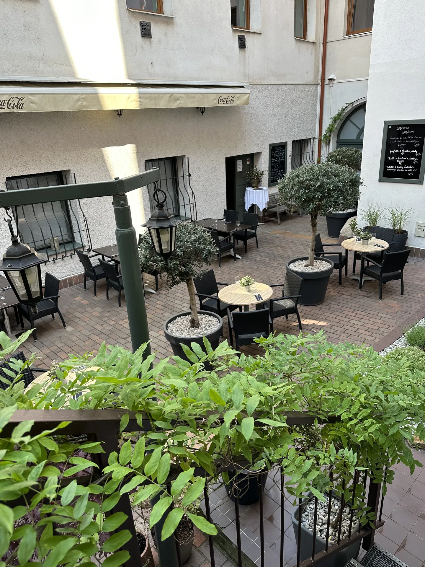 Rango restaurace — photo 75