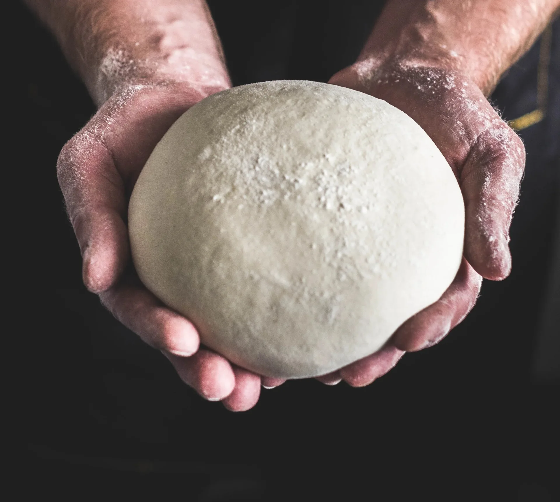 Levain Le Vin — photo 23