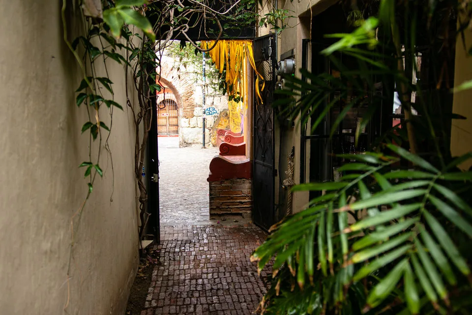 Adamá — photo 43