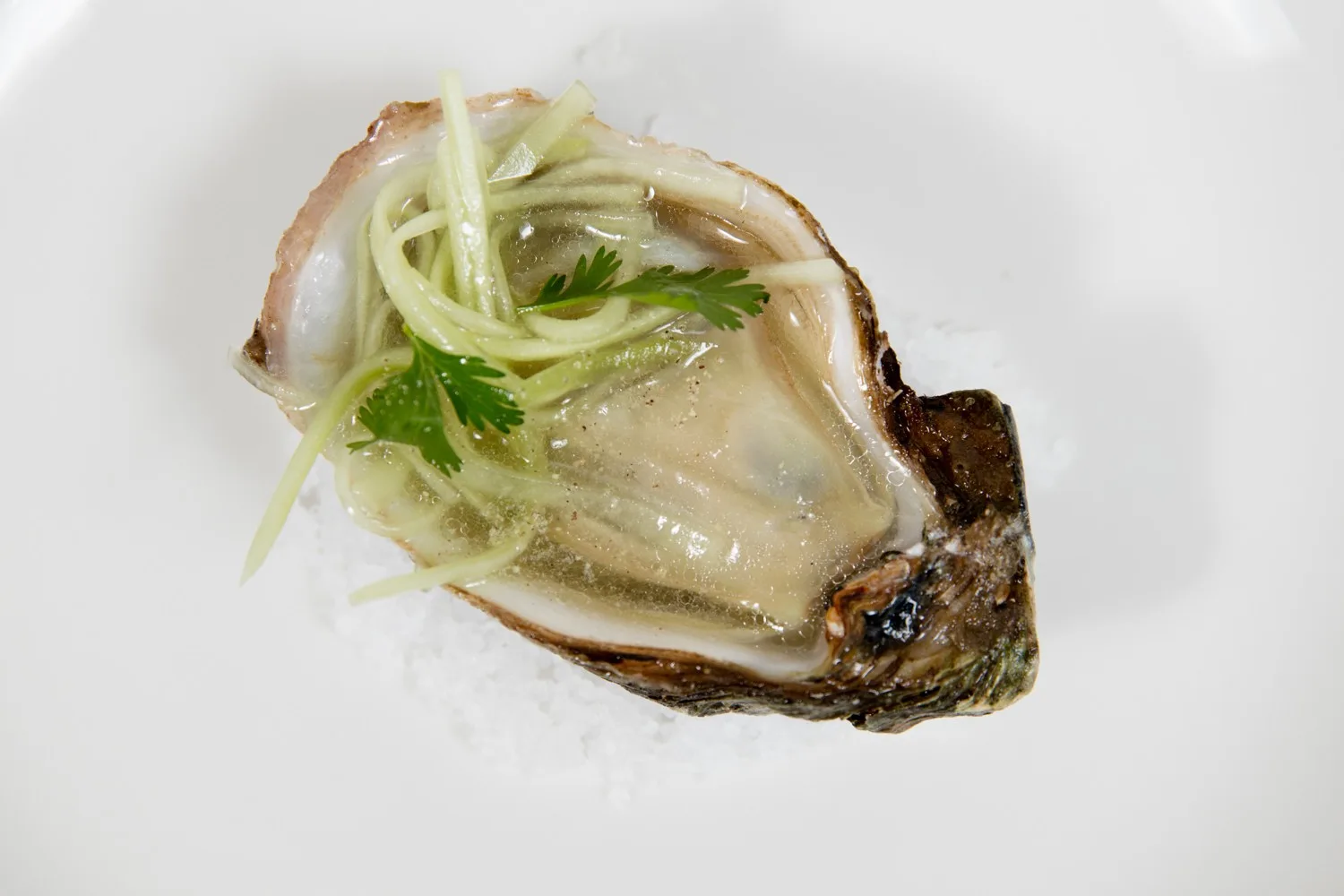 Nolet's Vistro — food