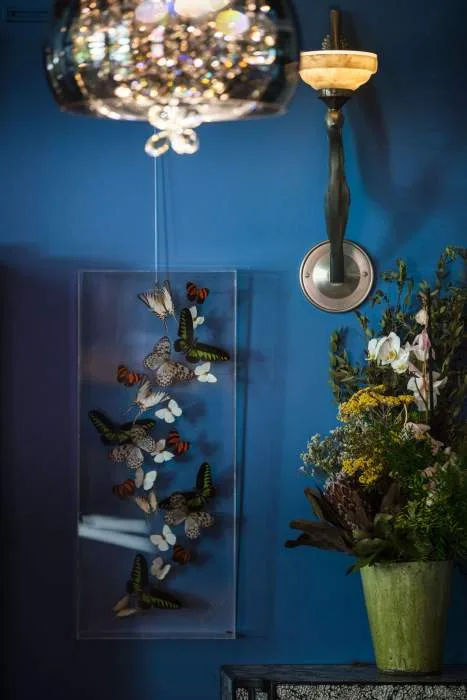 La Mare aux Oiseaux — photo 17