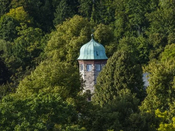 La Vallée Verte — photo 4