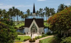 Humuhumunukunukuapua'a — photo 16