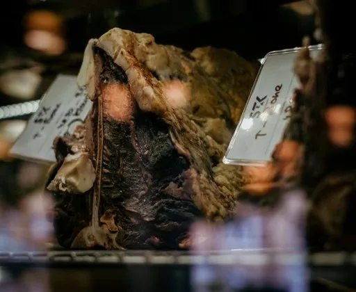 STeaK restaurant, Olomouc