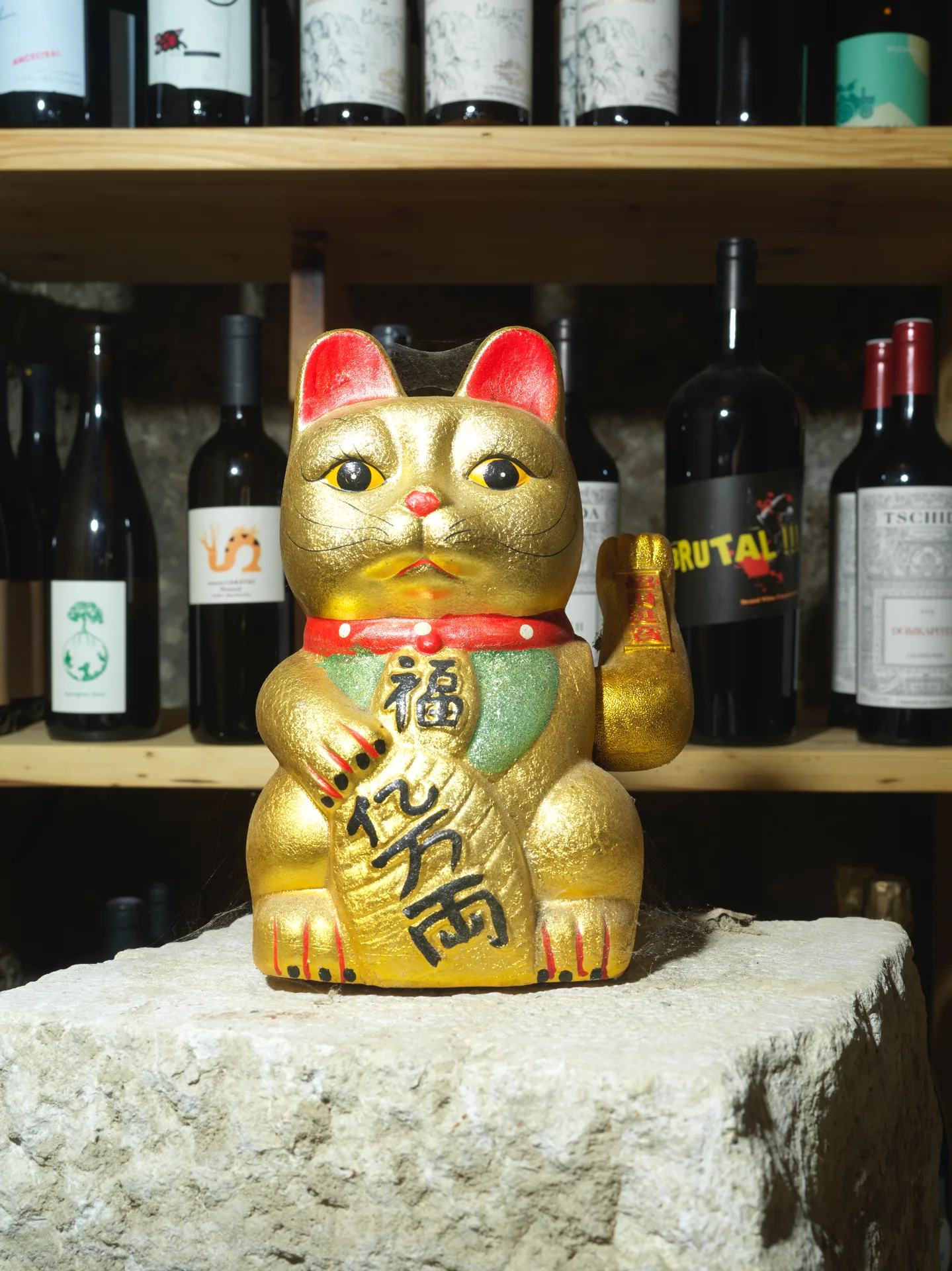 Mochi — photo 49