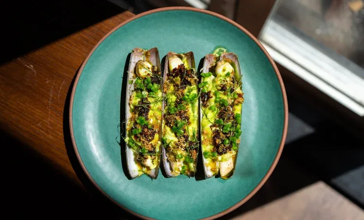 Nudibranch — photo 12