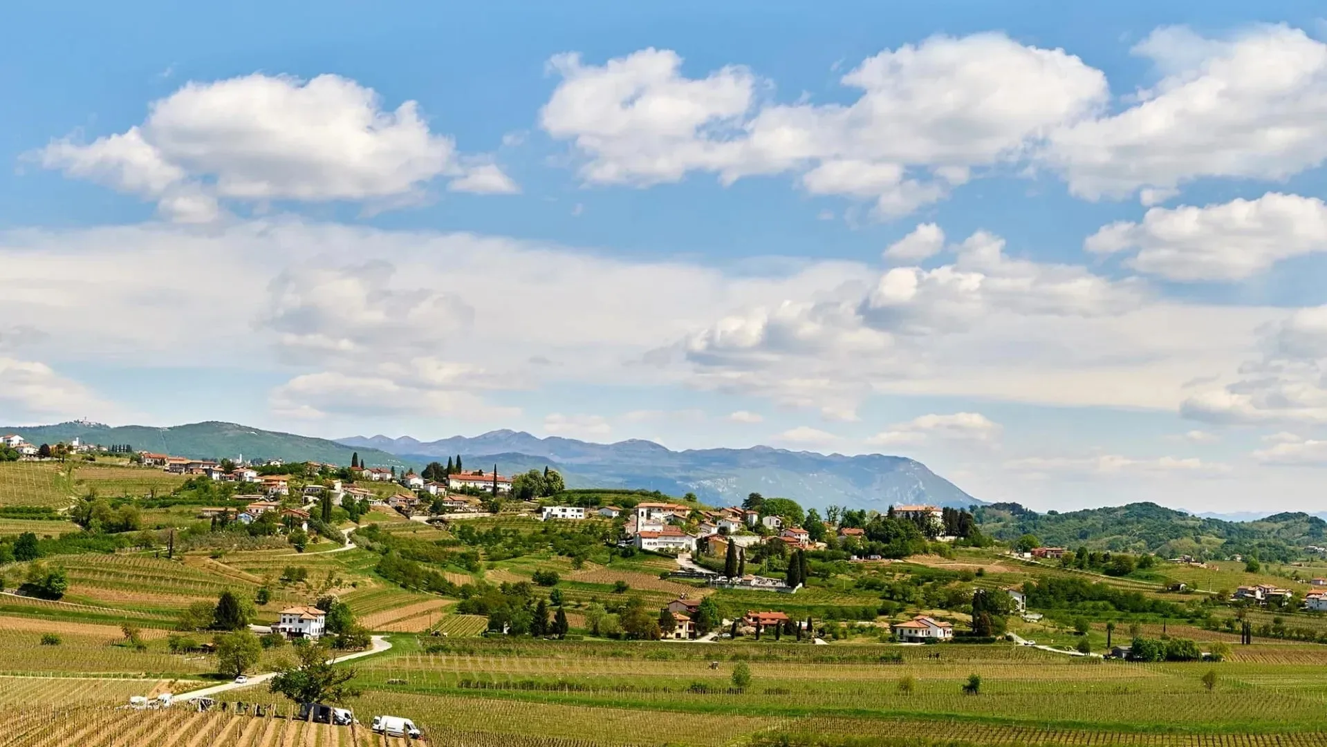 Restavracija Viatoria – Gredič — photo 8