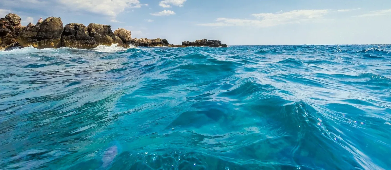 Fiola Mare — photo 14