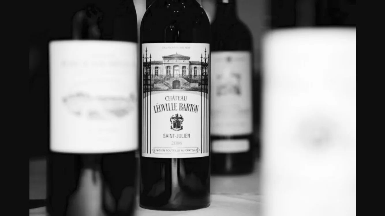 Brasserie Bodu — drink