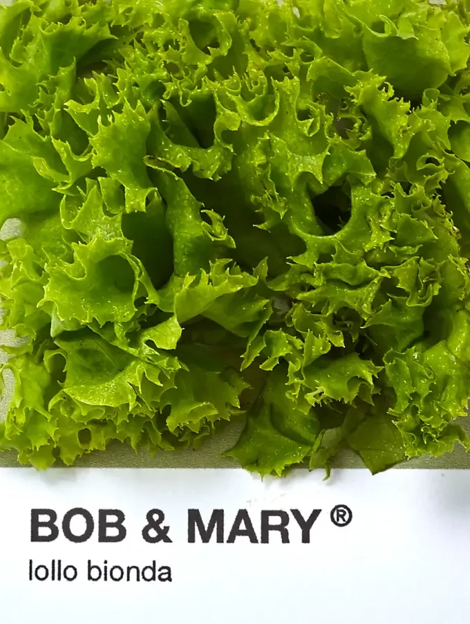 Bob &amp; Mary — photo 27