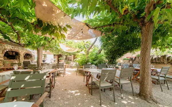 La Terrasse des Cigales — photo 4