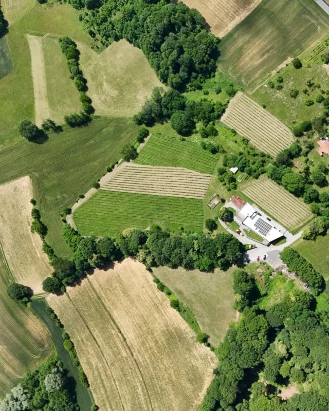 Restavracija Posestva Gjerkeš — photo 28