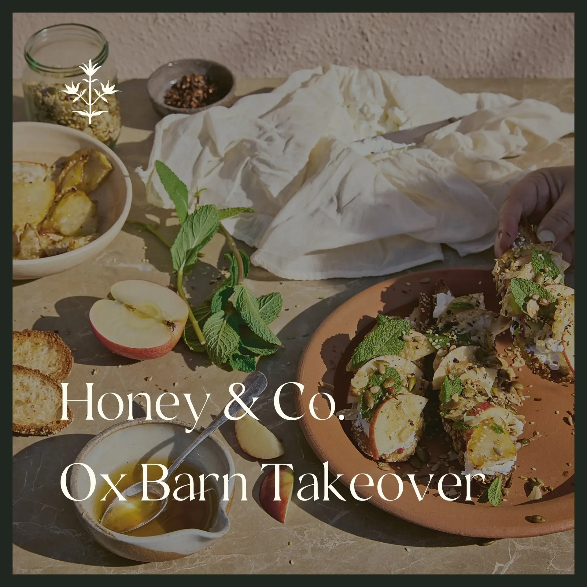 The Ox Barn — photo 28