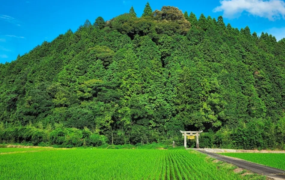 Unagino Toyokawa — photo 32