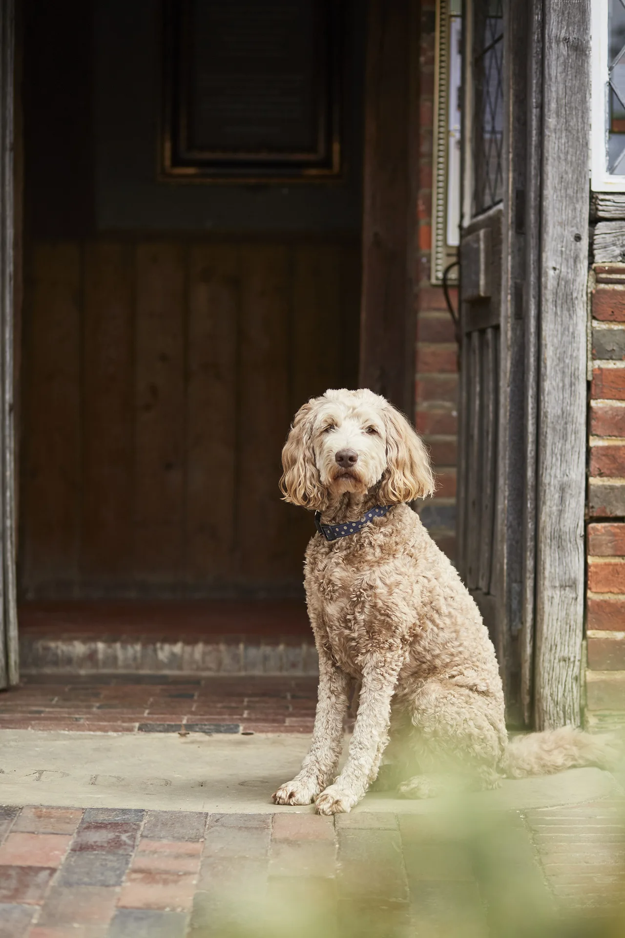 The Bell in Ticehurst — photo 21