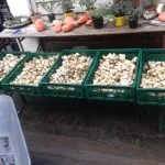 Waldhotel Felschbachhof — food