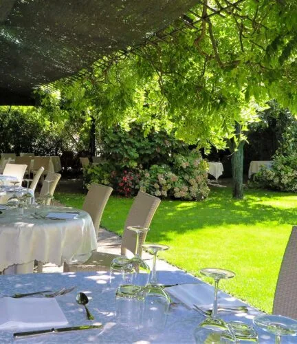 Piacentino — photo 9