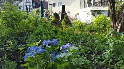 Die Kelter — photo 7