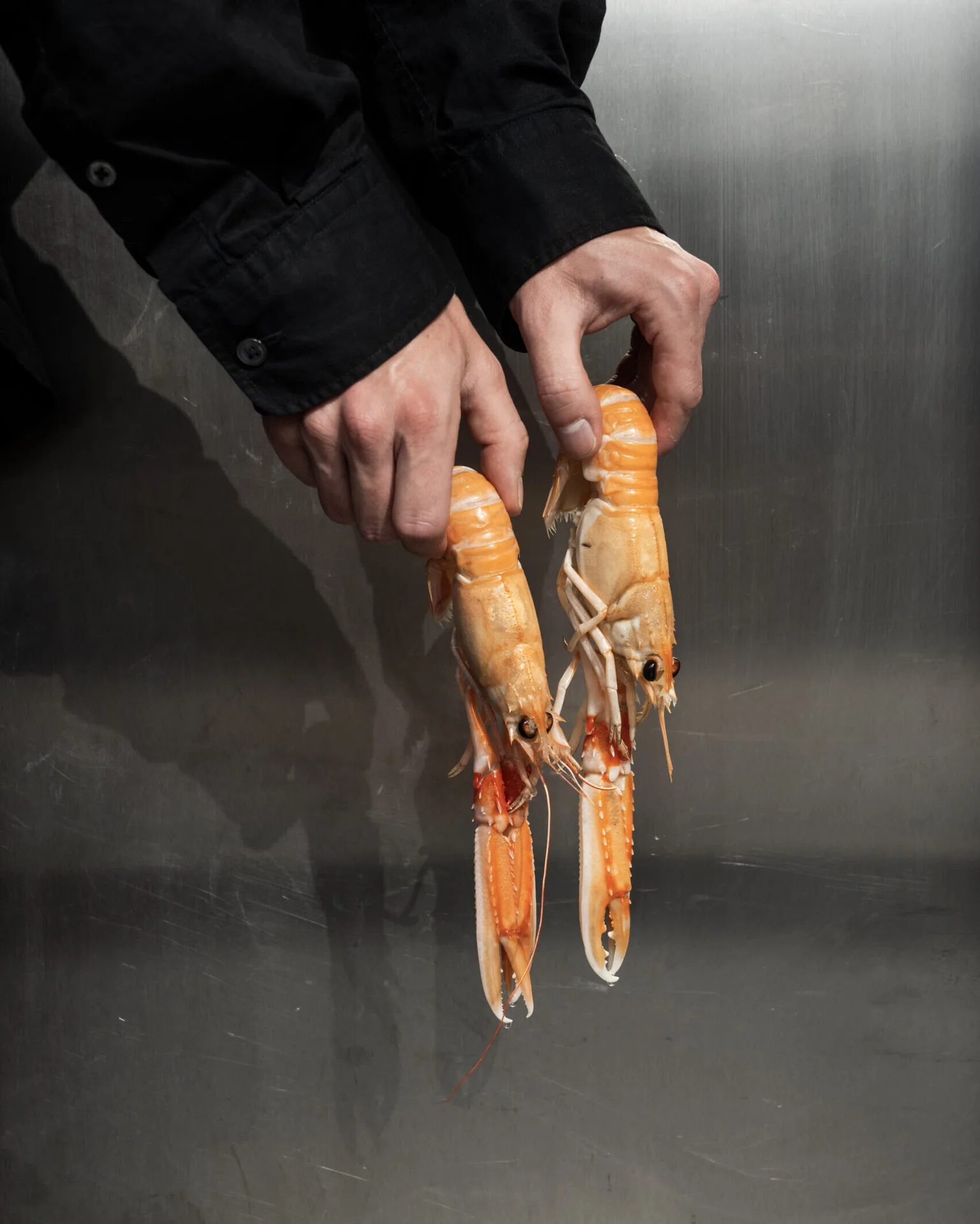 Jean-Philippe — photo 19