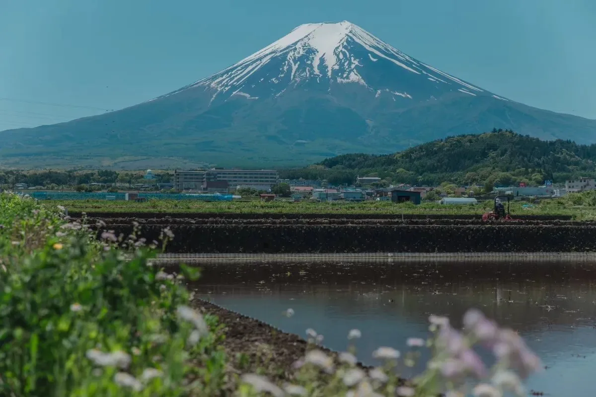 nôtori, Fujiyoshida