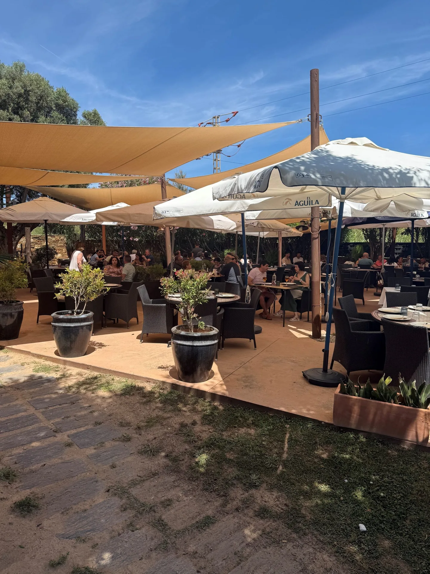 Arrocería Pinedo Beach — photo 44