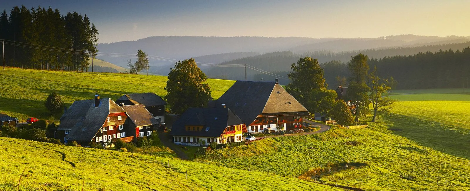 Landhotel Krone — photo 16