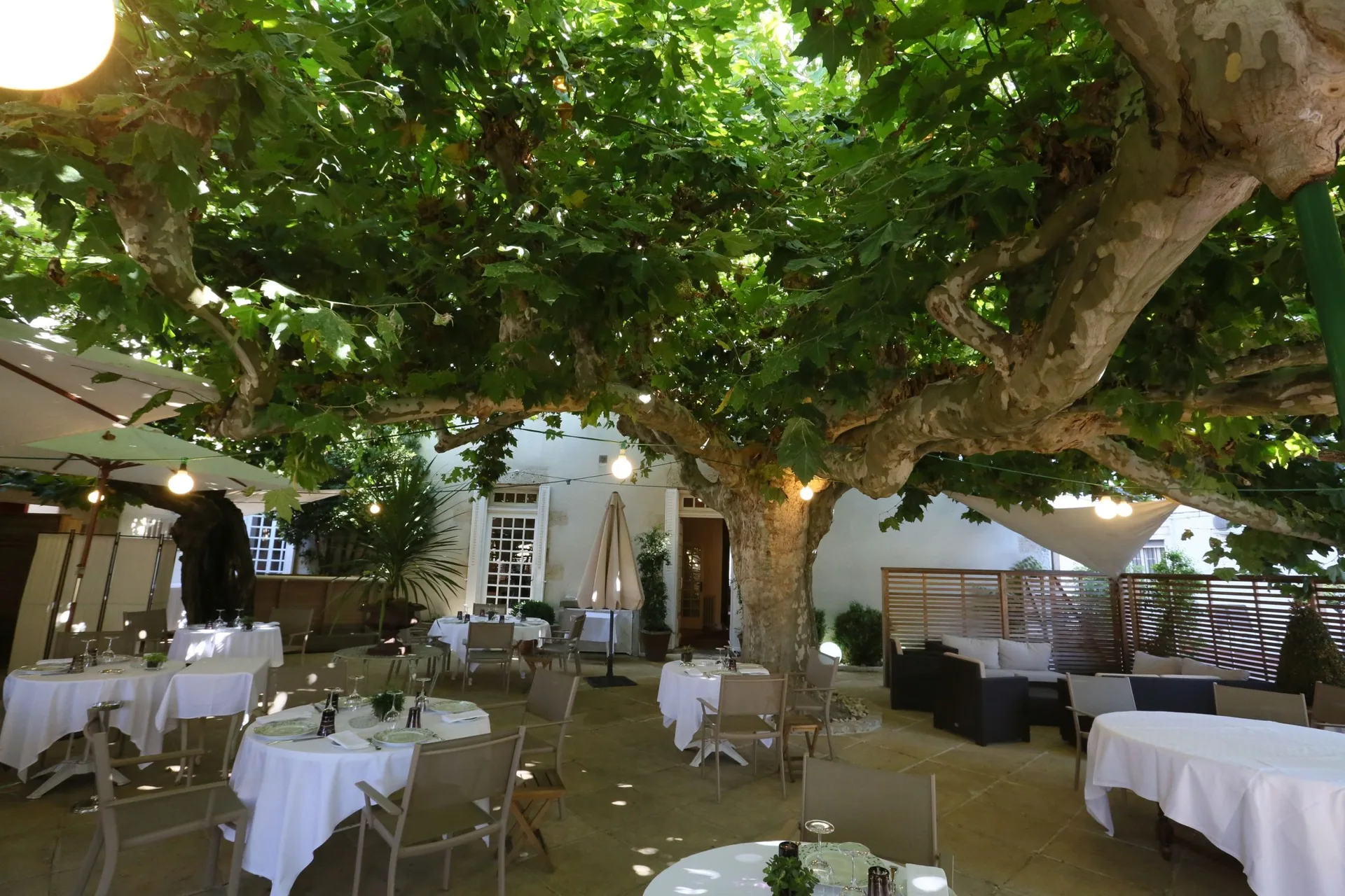La Table de la Maison — photo 40
