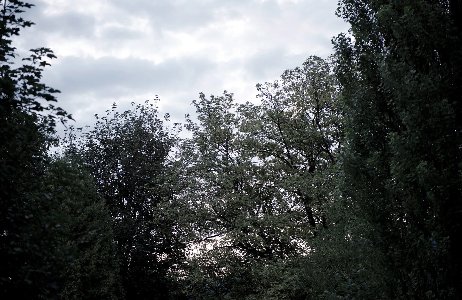 Der Unterwirt — photo 57