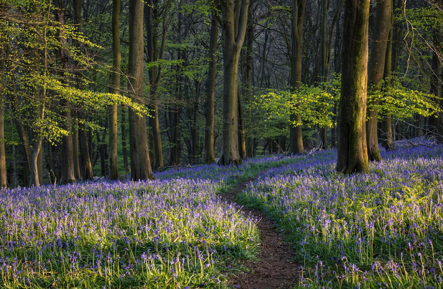 Gidleigh Park, Okehampton