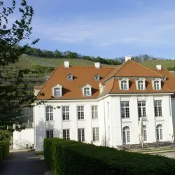 Restaurant Gaumenkitzel — photo 18