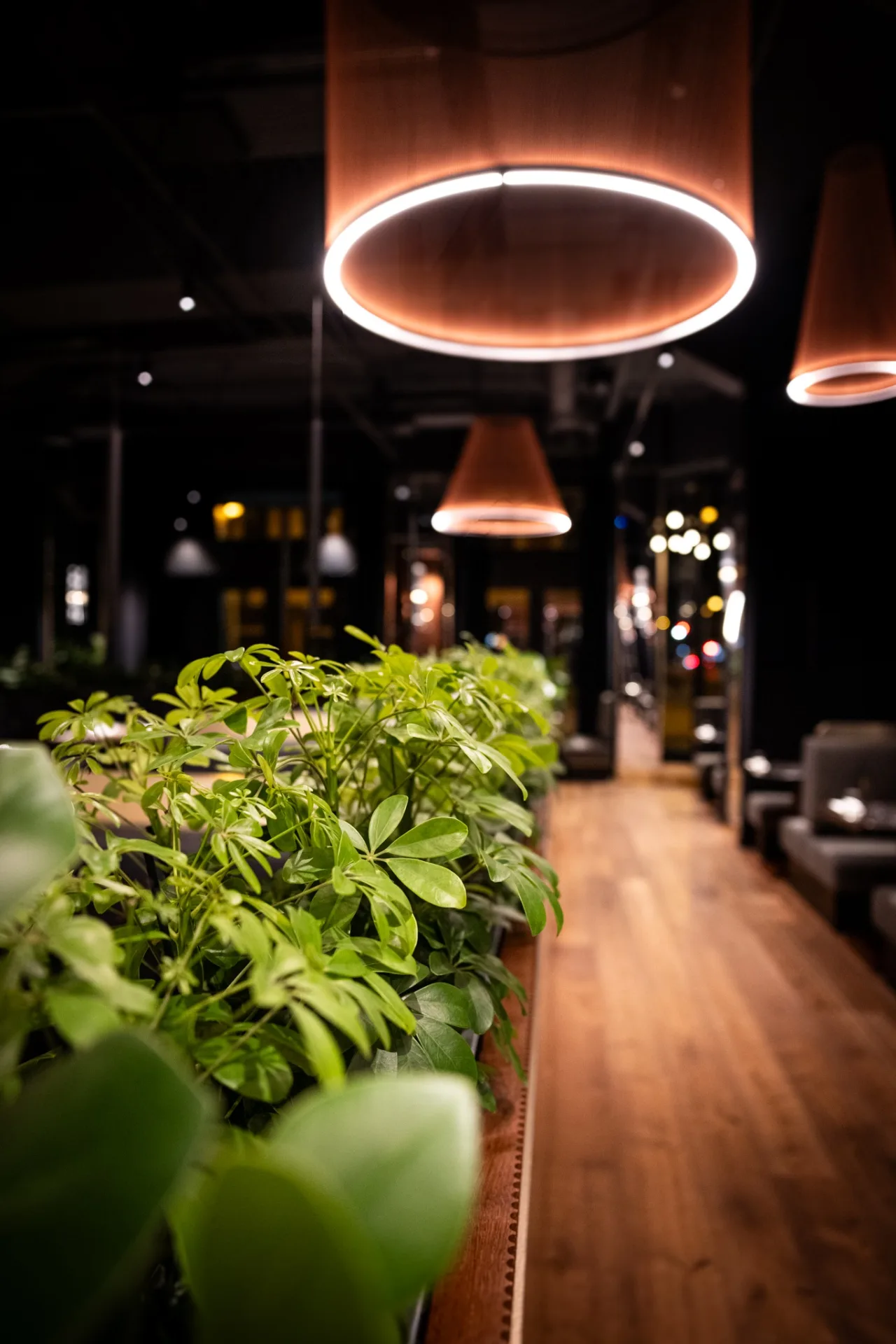 Thai Thai — atmosphere