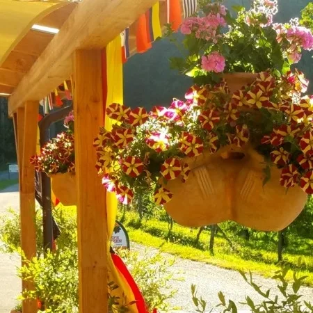 Gasthaus Waldstüble — photo 9