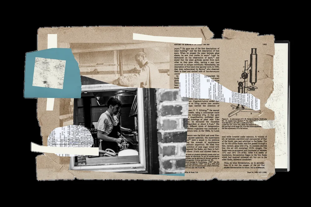 The Wolf's Tailor — kitchen