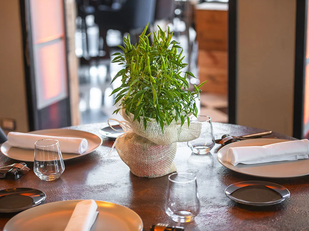 Il Salotto Atelier Gourmet — photo 28