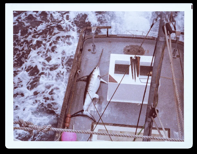 The Fishery — photo 18