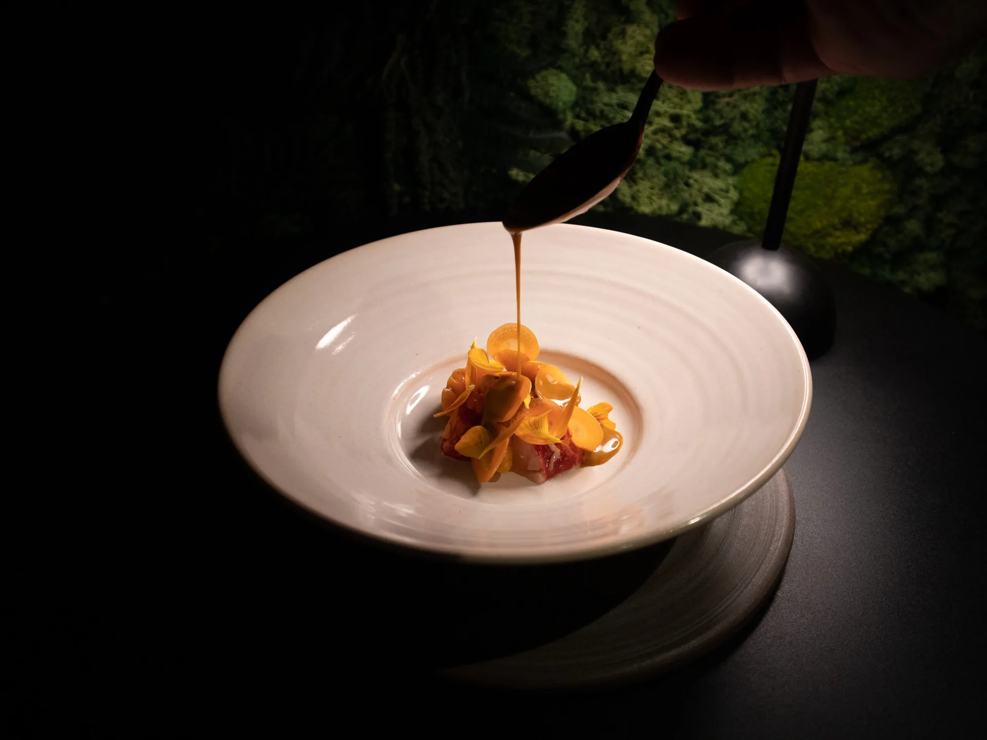 Alimentum — photo 4