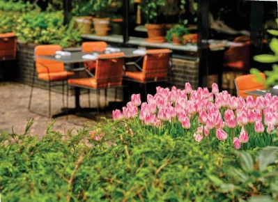 Oriole Garden Bistro — photo 42