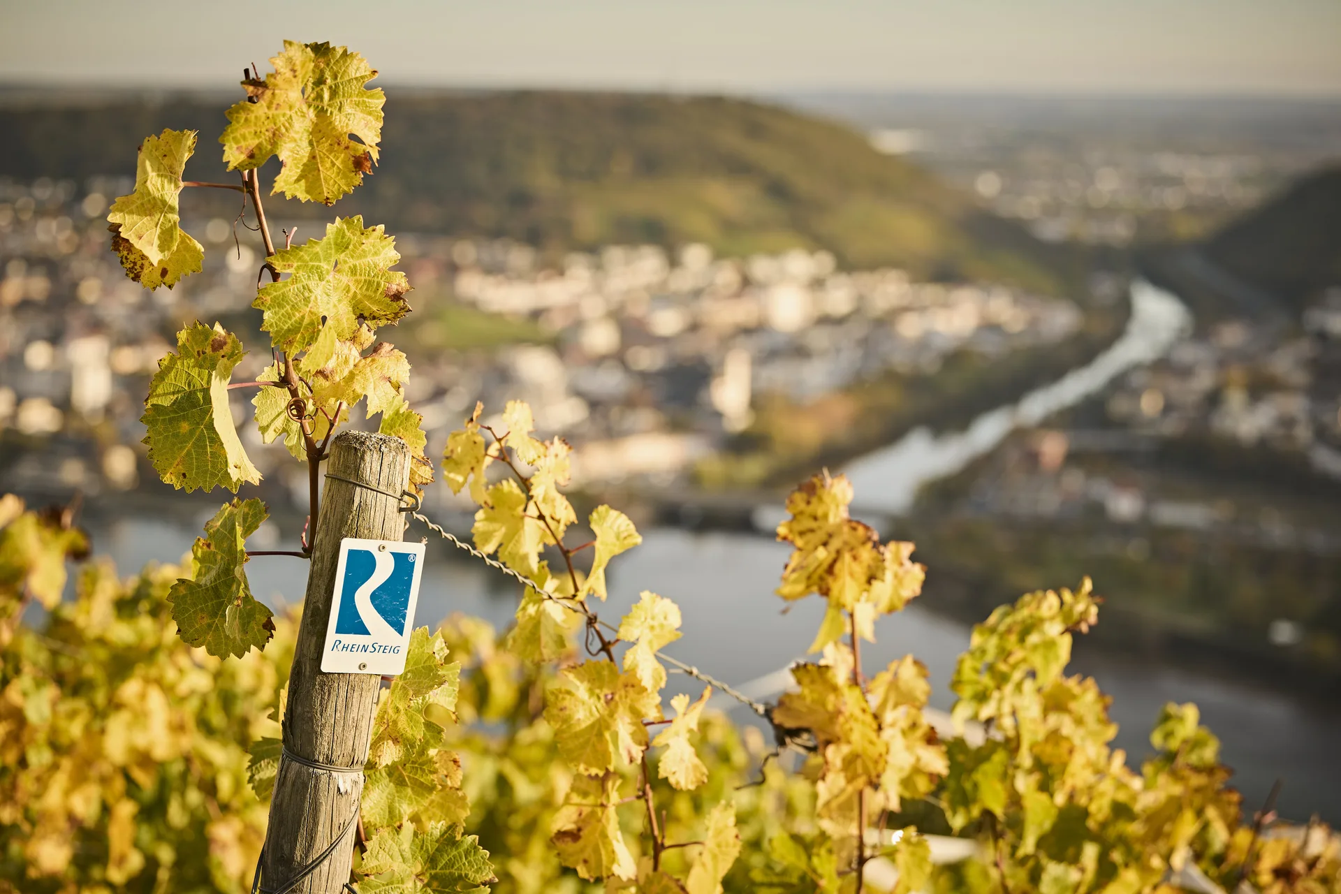 Landgasthof Eiserner Ritter — photo 12