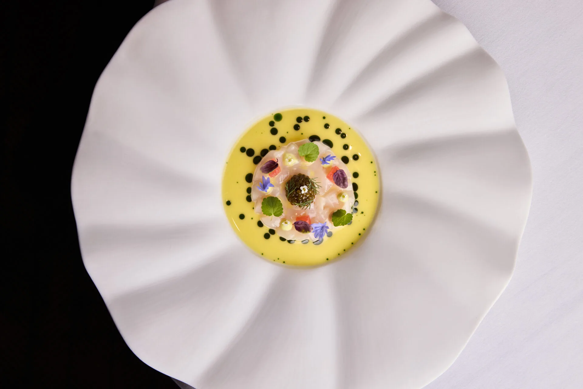 MICHAEL CAINES at The Stafford — photo 12