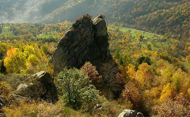 La Pineta — photo 5