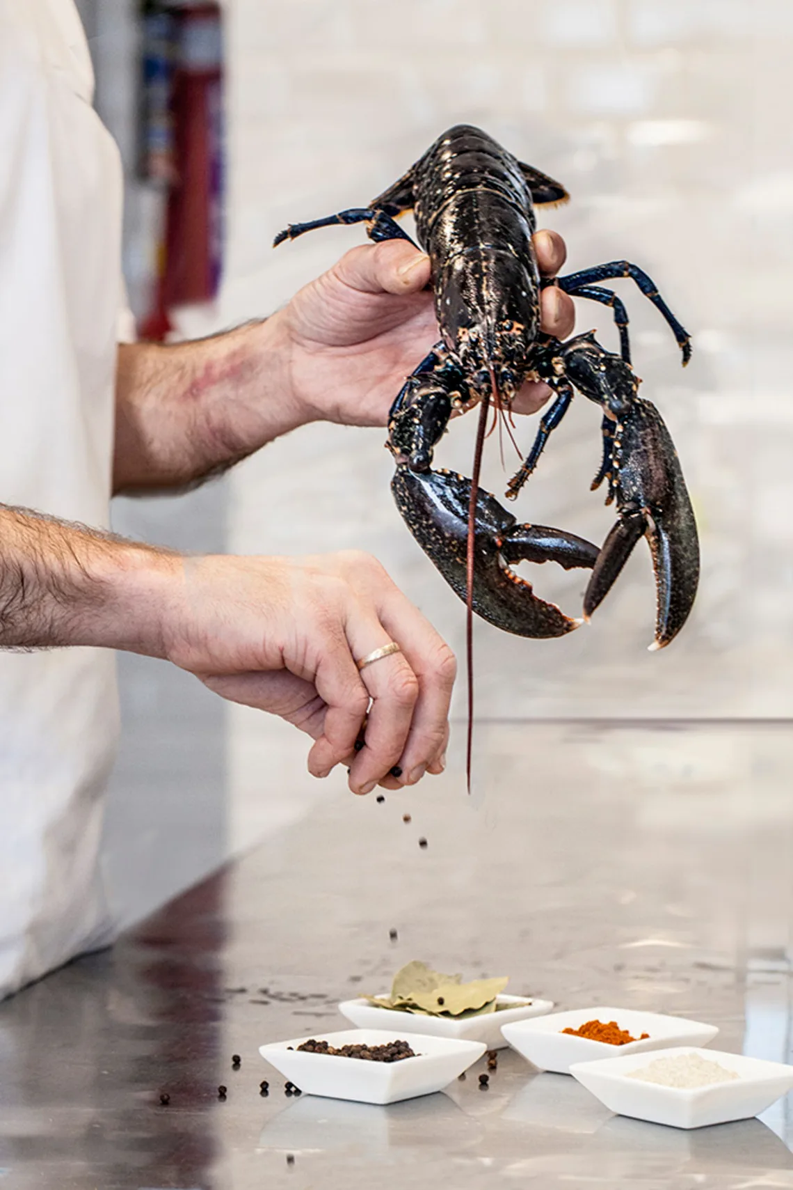 The Blue Lobster — photo 19