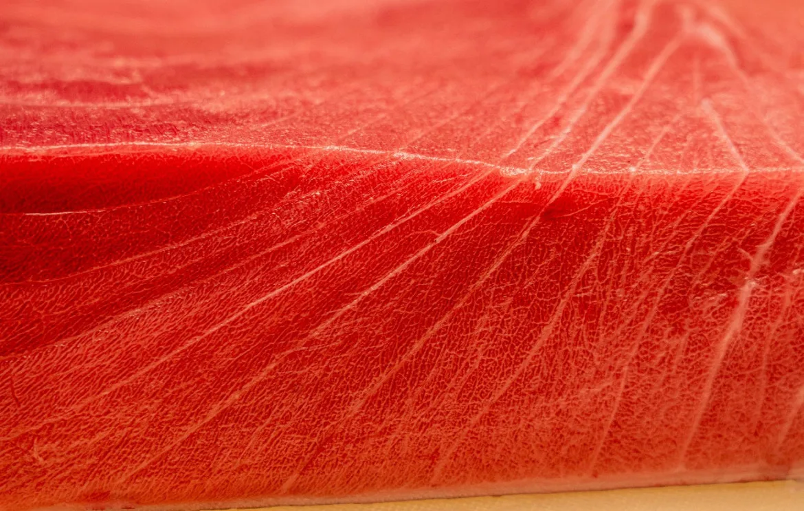 Shota Omakase — photo 10