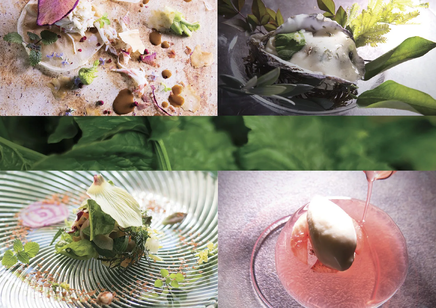 LE JARDIN GOURMAND — photo 31