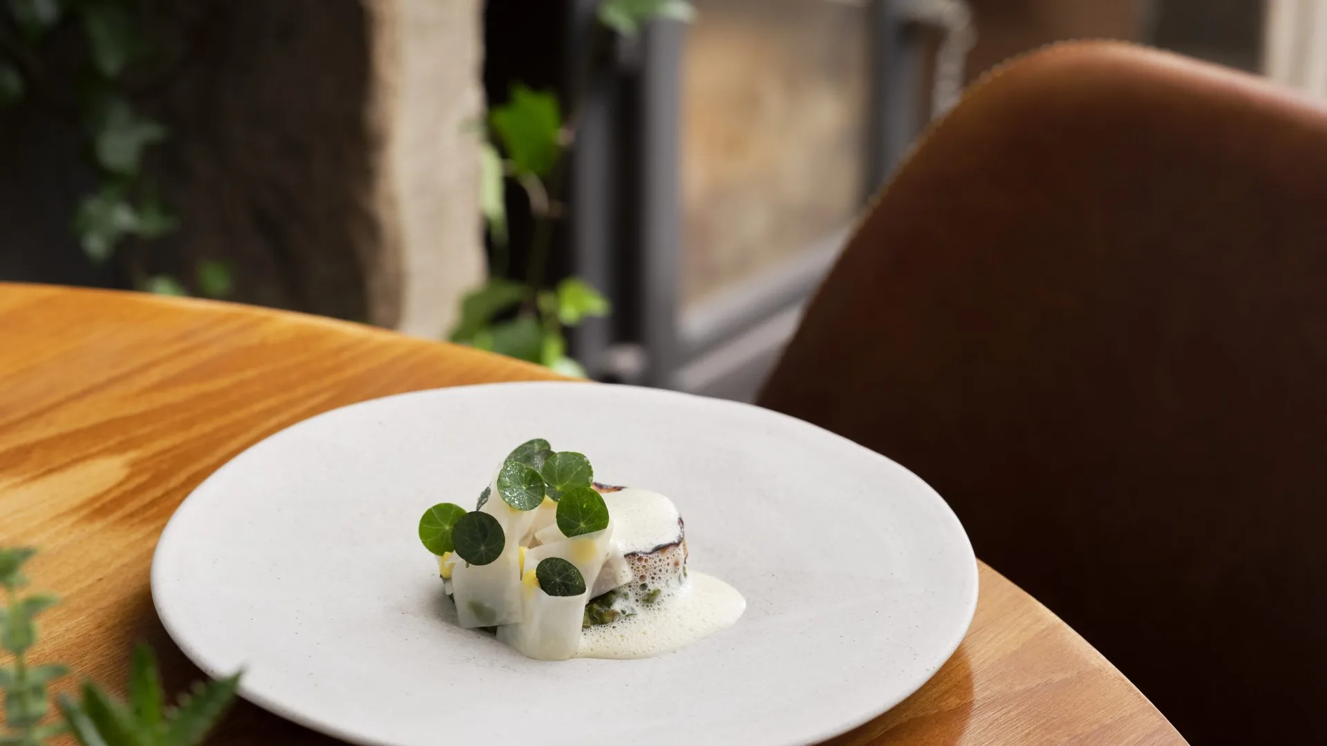 Rogan & Co, Grange-over-Sands
