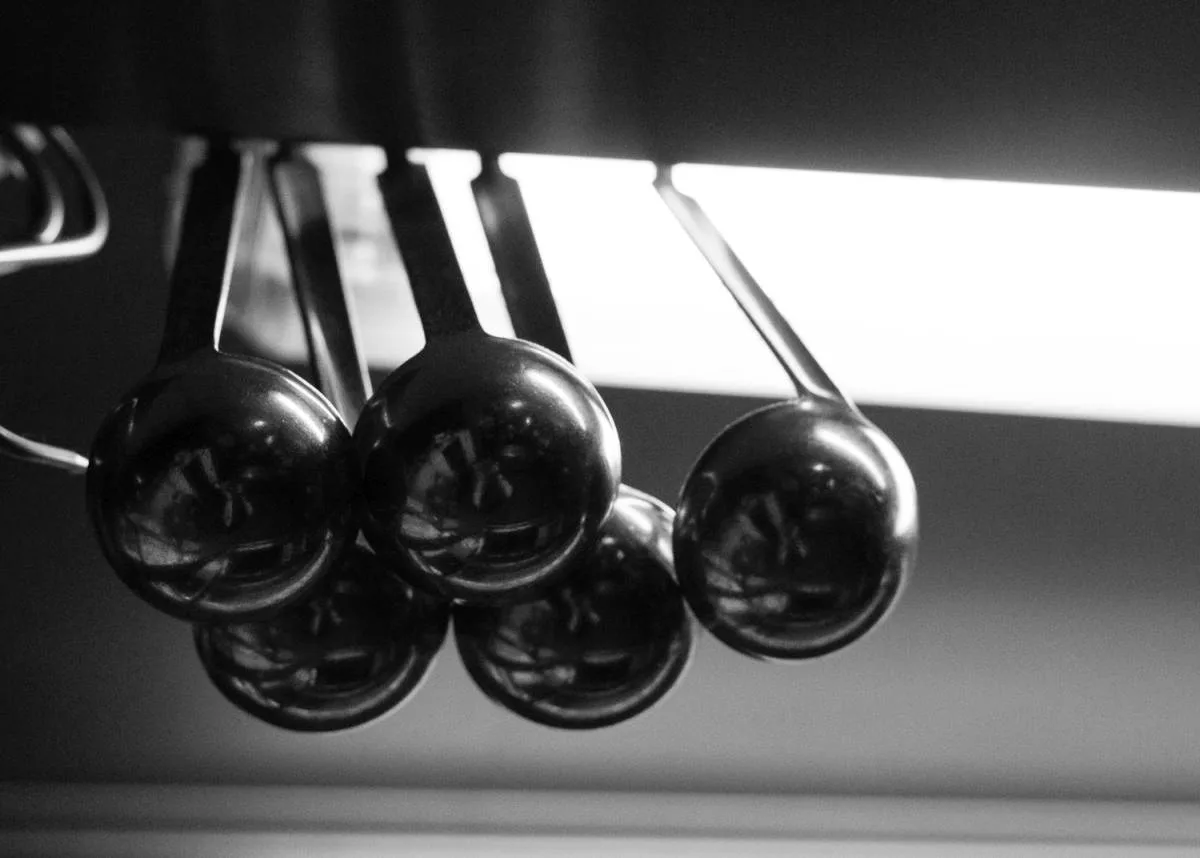 Coeur de Boeuf — photo 22