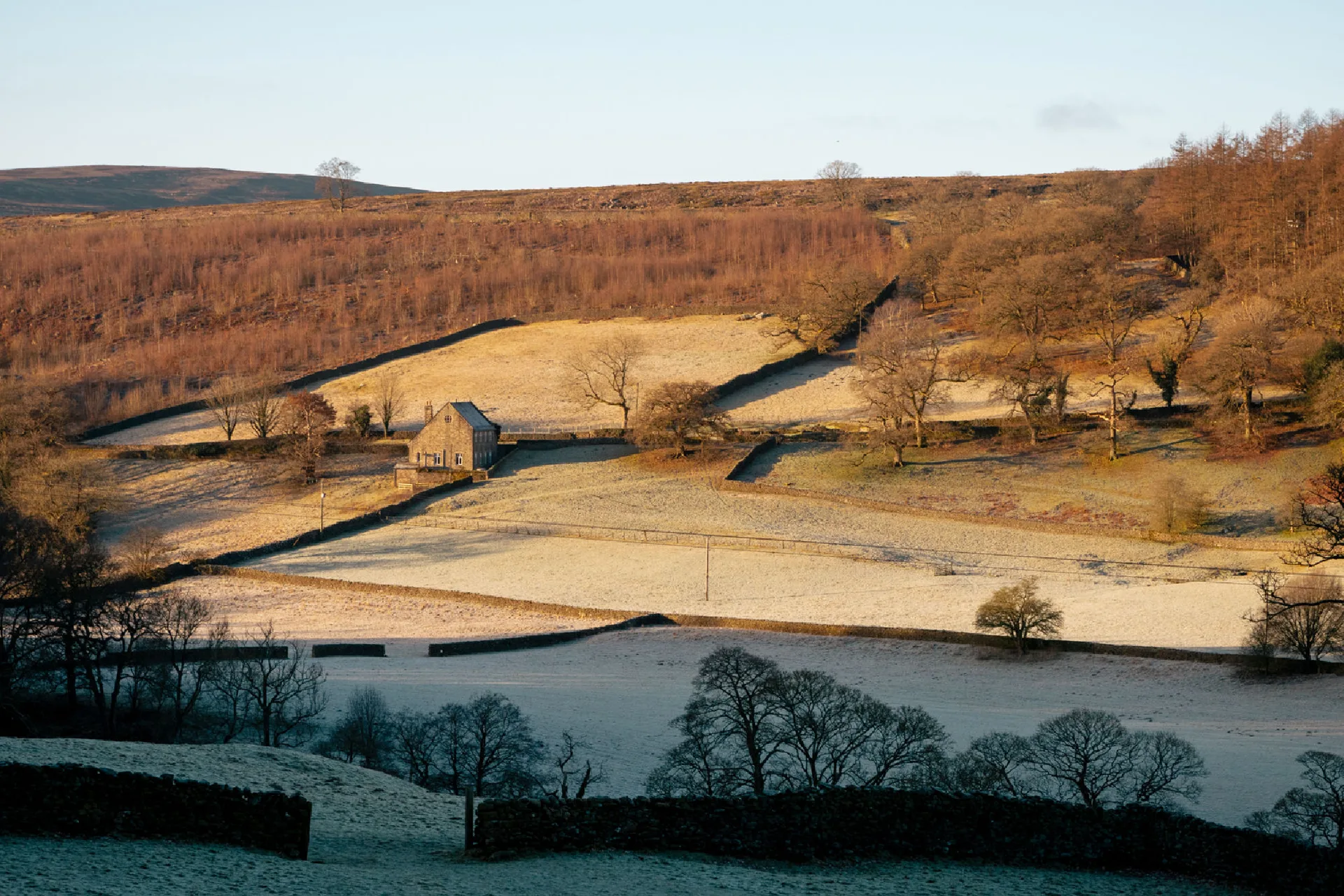 The Fell Restaurant — photo 46