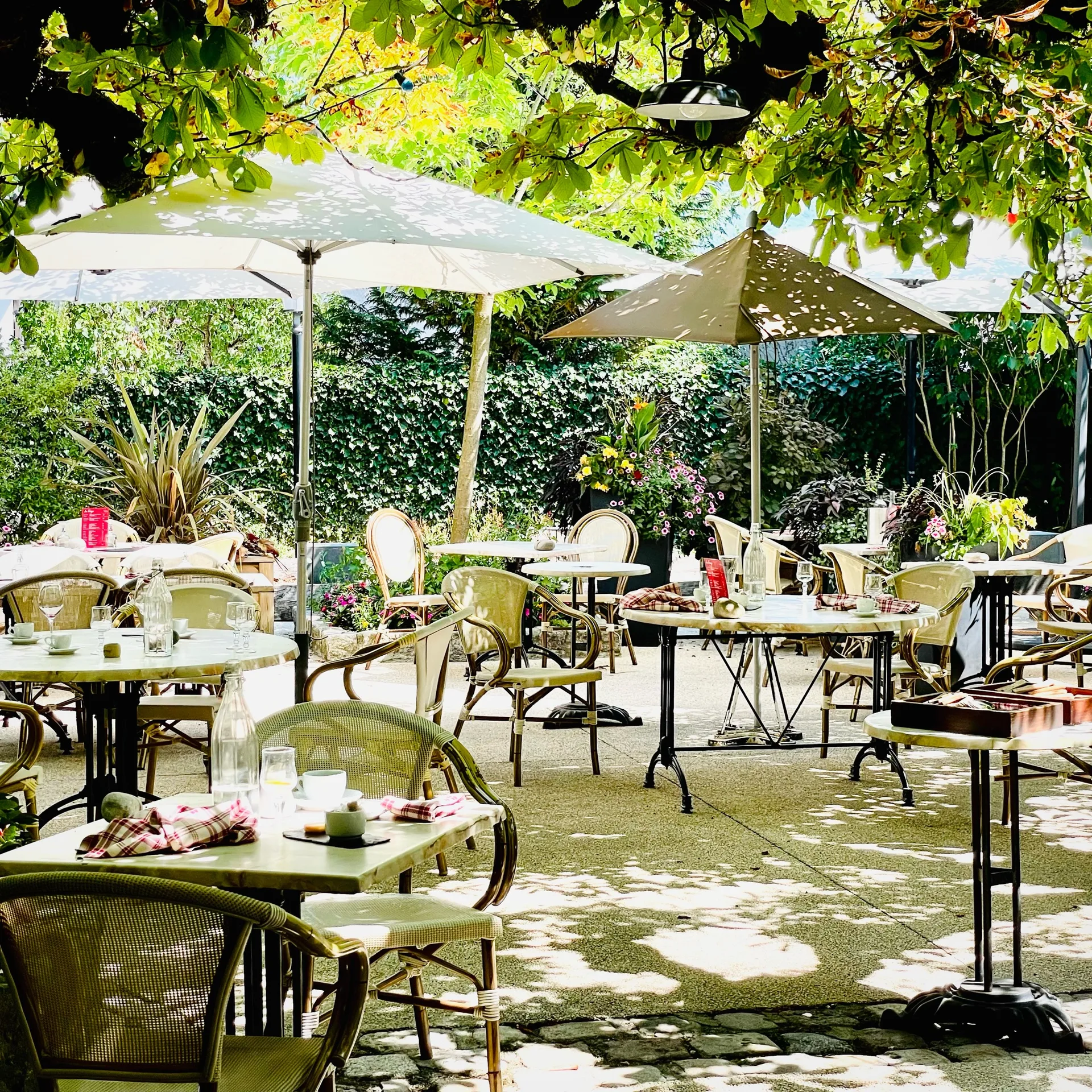 Café Brunet — photo 8
