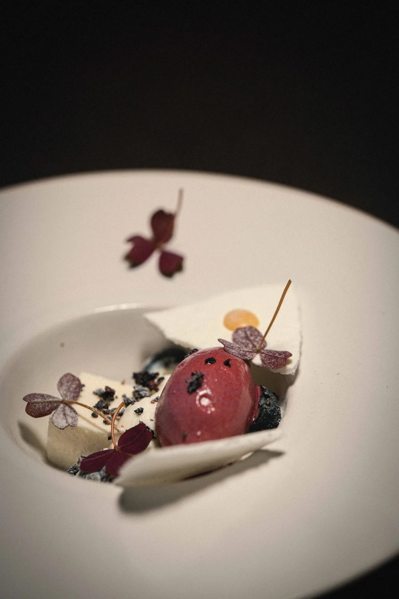 L'Ostal — photo 8